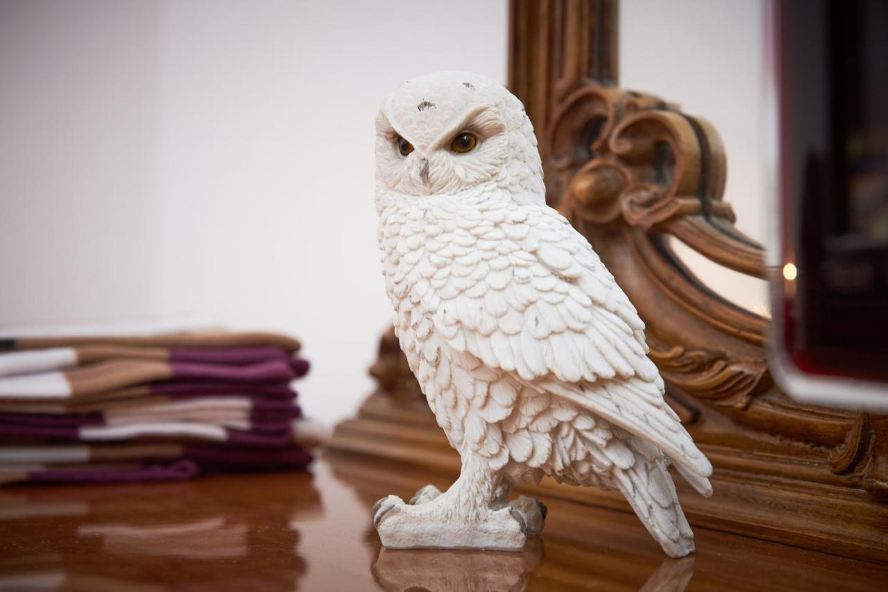 Harry Potter'S Magic House - Metro M4 - Linate - Citta Studi Apartment Milan Bagian luar foto